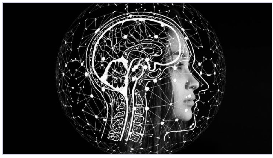 Nutrition for Productivity – Udemy course